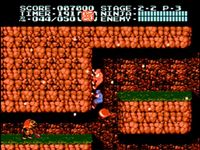 une photo d'Ã©cran de Shadow Warriors 2 sur Nintendo Nes